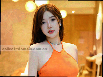 内容目录索引卡墙示意图，彩色卡片阵列组成可检索的档案展墙